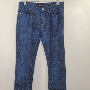 UO BDG Mid Rise Twig Ankle Southwestern Printed Skinny Jeans Blue Boho